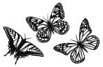 Ursus LASER DECORATION MOTIV 01