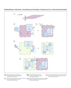 Ursus MEMORY BOOK KIT VINTAGE