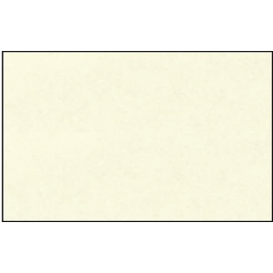 Ursus ELEF.HAUT 110G.DIN A3,10BL.WEISS