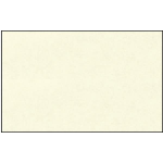 Ursus ELEF.HAUT 110G.DIN A3,10BL.WEISS