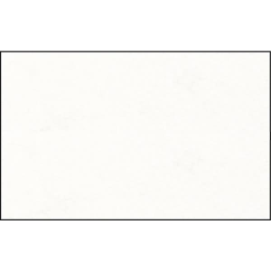 Ursus ELEF.HAUT 110G.DIN A3,10BL.HOCHWEISS