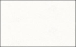 Ursus ELEF.HAUT 110G.DIN A4,10BL.HOCHWEISS