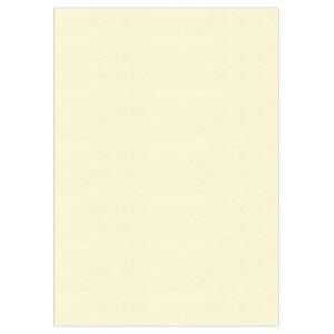 Ursus ELEF.HAUT 110G.DIN A4,50BL.WEISS