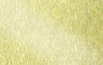 Ursus ALUFOLIE ROLLE 50CMx10M,GOLD MATT