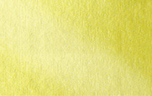 Ursus ALUFOLIE ROLLE 50CMx10M,GOLD