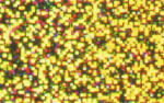 Ursus HOLOGRAMMFOLIE ROLLE 35x50CM,CITRONENGELB