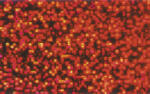 Ursus HOLOGRAMMFOLIE ROLLE 35x50CM,ROT