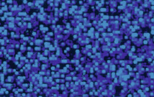 Ursus HOLOGRAMMFOLIE ROLLE 35x50CM,DUNKELBLAU