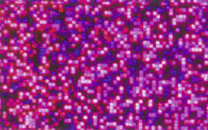 Ursus HOLOGRAMMFOLIE ROLLE 35x50CM,PINK