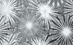 Ursus HOLOGRAMMFOLIE 50x70CM,5BG.CENTAURI
