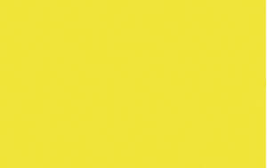 Ursus BLUMENS.20G.50x70CM,5BG.CITRONENGELB