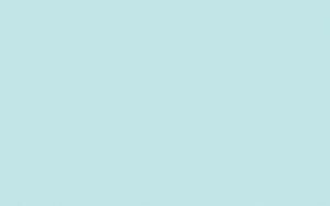 Ursus BLUMENS.20G.50x70CM,5BG.HELLBLAU