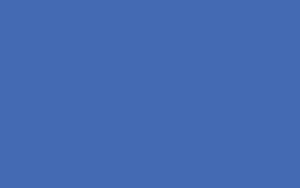 Ursus BLUMENS.20G.50x70CM,5BG.CALIF.BLAU