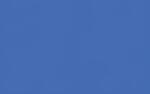 Ursus BLUMENS.20G.50x70CM,5BG.CALIF.BLAU
