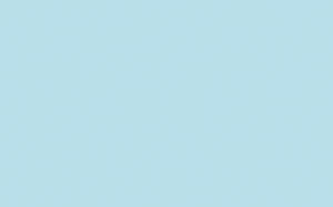 Ursus BLUMENS.20G.50x70CM,5BG.PASTELLBLAU