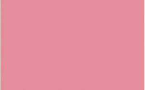 Ursus BLUMENS.20G.50x70CM,5BG.LACHS