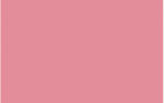 Ursus BLUMENS.20G.50x70CM,5BG.LACHS