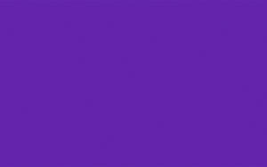 Ursus BLUMENS.20G.50x70CM,5BG.VIOLETT