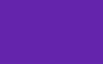 Ursus BLUMENS.20G.50x70CM,5BG.VIOLETT