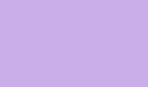 Ursus BLUMENS.20G.50x70CM,5BG.FLIEDER