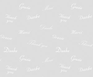 Ursus TRANSP.PAPIER "WHITE LINE"115G.A4,5BL.