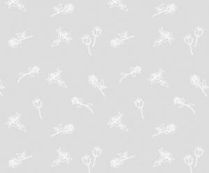 Ursus TRANSP.PAPIER "WHITE LINE"115G.A4,5BL.