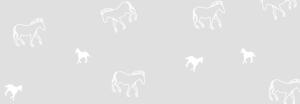 Ursus TRANSP.PAPIER "WHITE LINE"115G.A4,25BL.