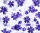 Ursus TRANSP.PAPIER "FLORA"115G.A4,5BL.MOT.02