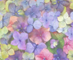 Ursus TRANSP.PAPIER "FLORA"115G.A4,5BL.MOT.03