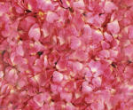 Ursus TRANSP.PAPIER "FLORA"115G.A4,5BL.MOT.06