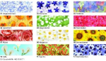 Ursus TRANSP.PAPIER "FLORA"115G.A4,25BL.MOT.08