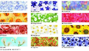Ursus TRANSP.PAPIER "FLORA"115G.A4,25BL.MOT.11