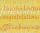 Ursus TRANSP.PAPIER "SCHRIFTEN"115G.A4,5BL.ORANGE