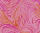 Ursus TRANSP.PAPIER "QUIRL"115G.A4,5BL.ROT