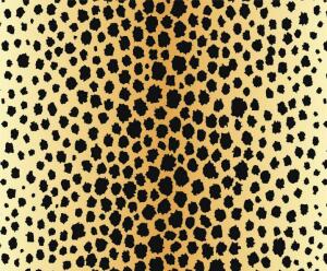 Ursus TRANSP.PAPIER "TIERFELL"115G.A4,5BL.GEPARD