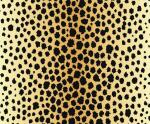 Ursus TRANSP.PAPIER "TIERFELL"115G.A4,5BL.GEPARD