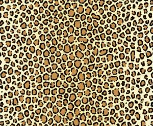 Ursus TRANSP.PAPIER "TIERFELL"115G.A4,5BL.LEOPARD