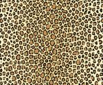 Ursus TRANSP.PAPIER "TIERFELL"115G.A4,5BL.LEOPARD