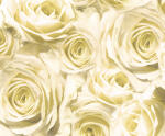 Ursus TRANSP.PAPIER "ROSEN"115G.A4,5BL.CHAMPAGNER