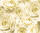 Ursus TRANSP.PAPIER "ROSEN"115G.A4,5BL.CHAMPAGNER