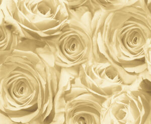 Ursus TRANSP.PAPIER "ROSEN"115G.A4,5BL.ANTIK