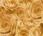 Ursus TRANSP.PAPIER "ROSEN"115G.A4,5BL.APRICOT