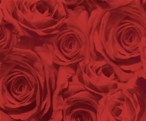 Ursus TRANSP.PAPIER "ROSEN"115G.A4,5BL.ROT