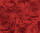 Ursus TRANSP.PAPIER "ROSEN"115G.A4,5BL.ROT