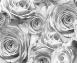 Ursus TRANSP.PAPIER "ROSEN"115G.A4,5BL.GRAPHIT