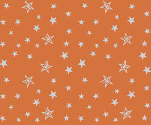 Ursus TRANSP.115G.DIN A4,5BL.SILVER STARS ORANGE