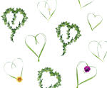Ursus TRANSP.PAPIER "HEARTBEAT"115G.A4,5BL.
