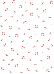 Ursus TRANSP.PAPIER "HEARTBEAT"115G.A4,25BL.