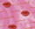 Ursus TRANSP.PAPIER "AMORE"115G.A4,5BL.M04