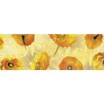 Ursus TRANSP.PAPIER "FLORA"115G.50x61CM,MOT.04